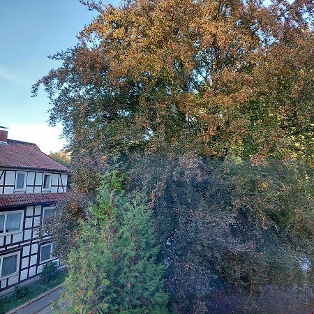 Gemuetliche Ferienwohnung Im Harz Bad Grund Ngoại thất bức ảnh