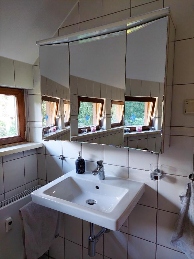 Gemuetliche Ferienwohnung Im Harz Bad Grund Ngoại thất bức ảnh