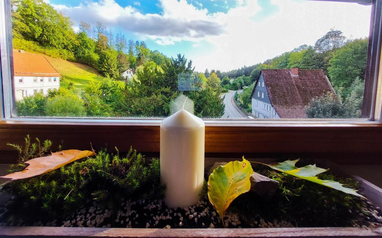 Gemuetliche Ferienwohnung Im Harz Bad Grund Ngoại thất bức ảnh