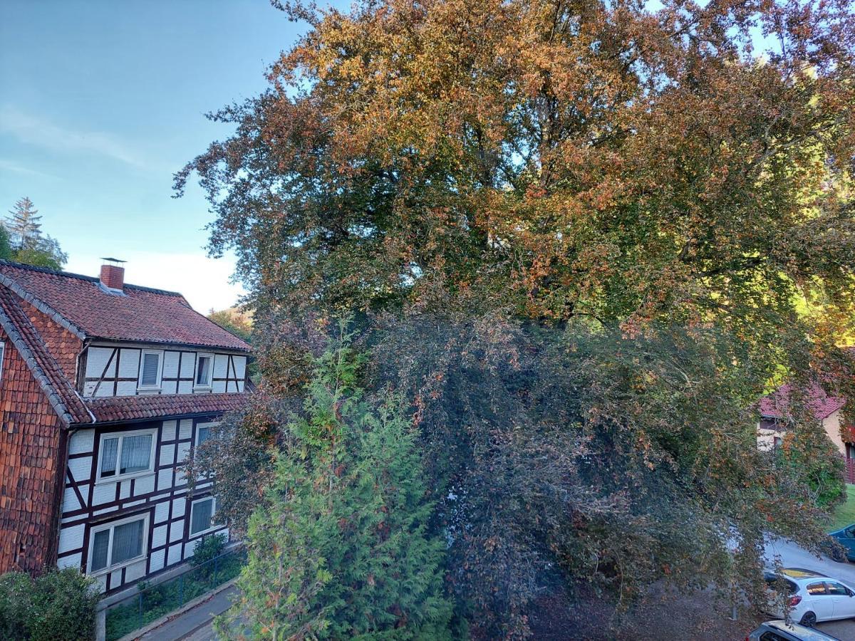 Gemuetliche Ferienwohnung Im Harz Bad Grund Ngoại thất bức ảnh